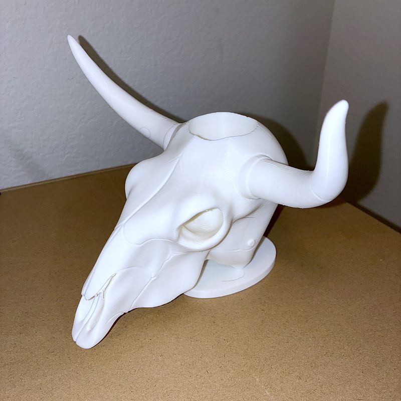3D-printed longhorn skull planter with a succulent